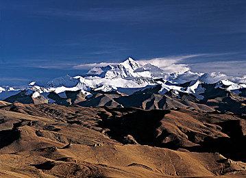 TGS 2021：多人合作游戏《直播！救援大作战》新预告